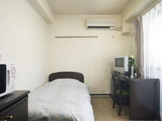 酒店 Flexstay 白金旅馆 2*